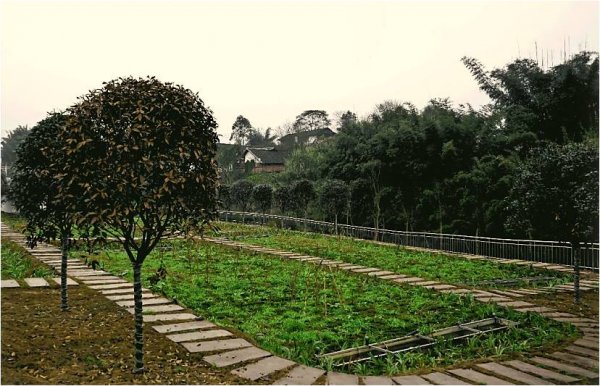 宜賓雙誼食品工業(yè)園污水處理廠(chǎng)工程